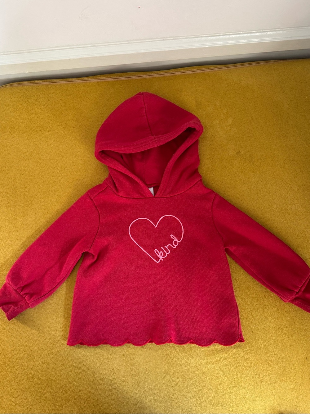 Baby GAP Red Toddler Hooded Sweatshirt “Kind”